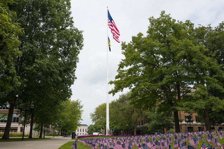 A large display of numerous small American flags planted in the grass, along with a large American flag flying from a tall flagpole.